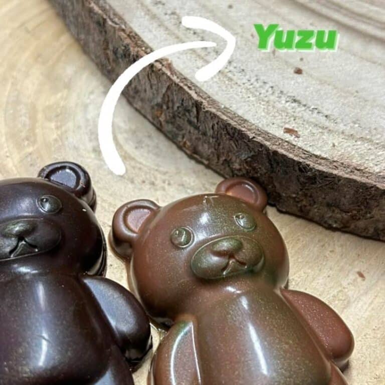 ourson chocolat yuzu