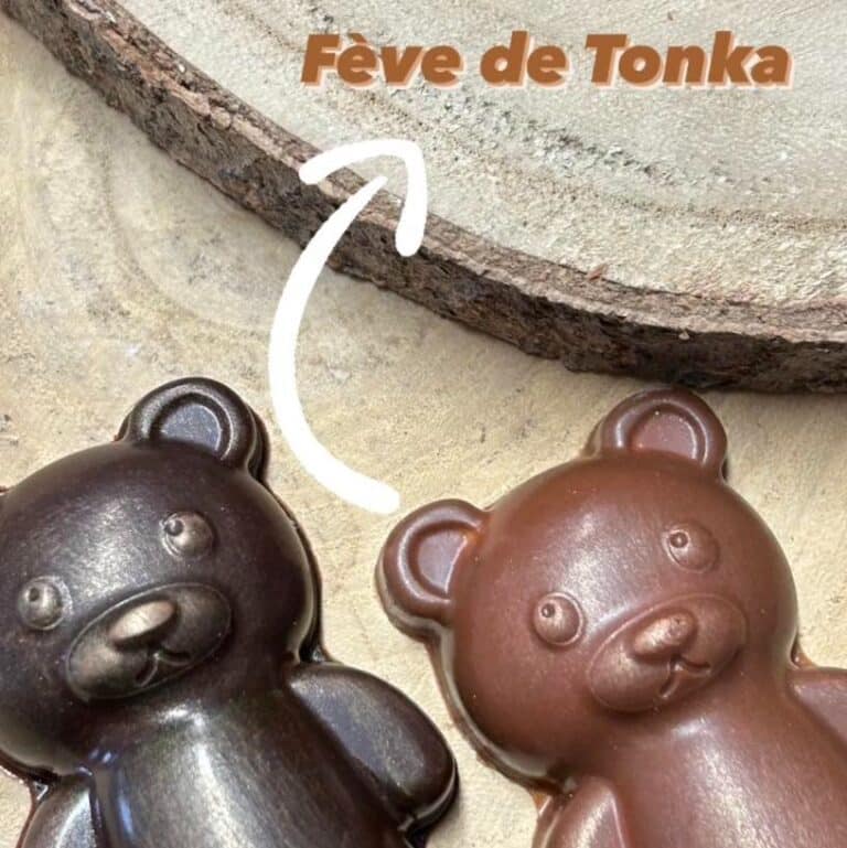 ourson feve tonka