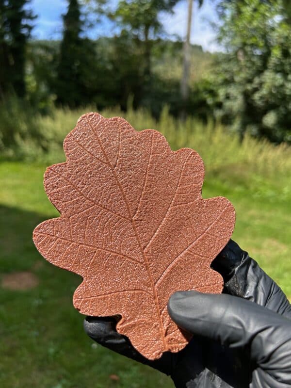 Feuille automne praliné