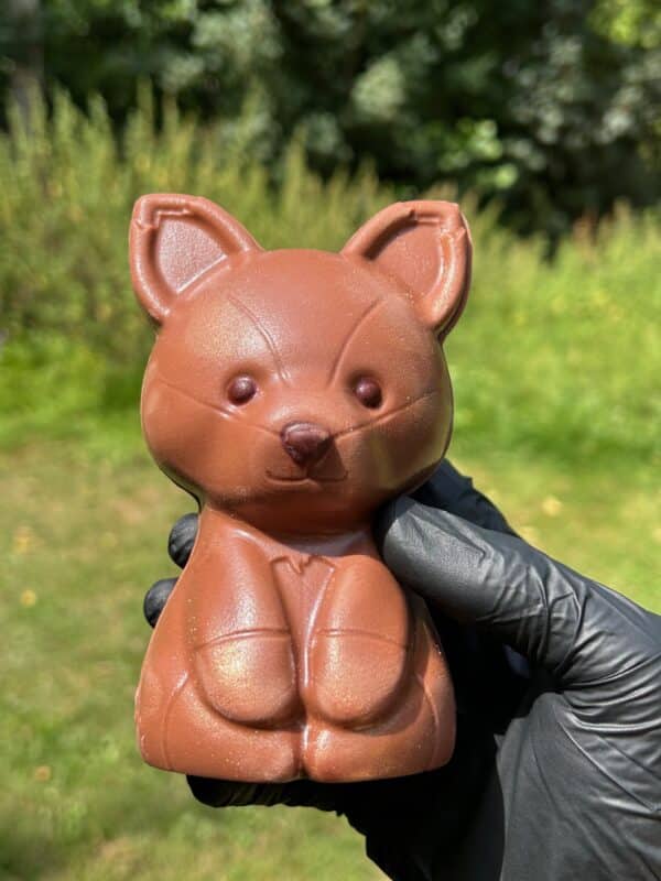 Renard en chocolat