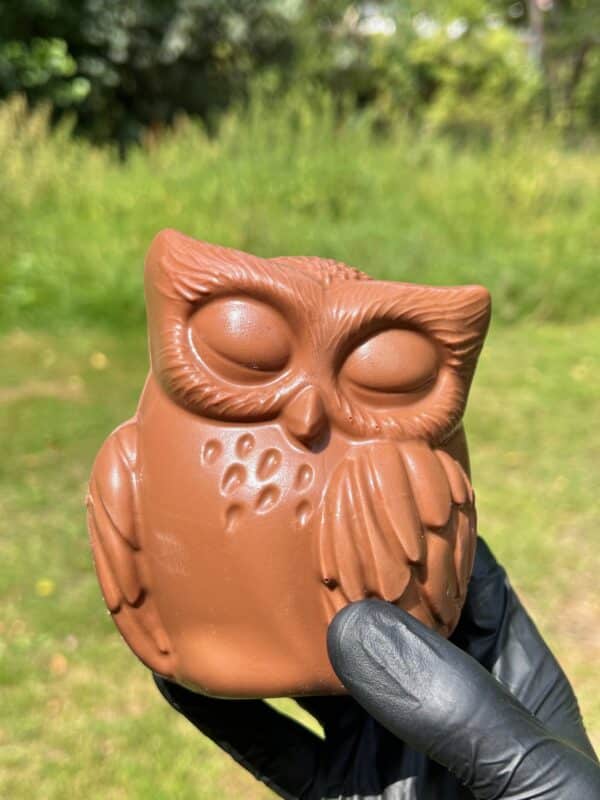 Hibou en chocolat