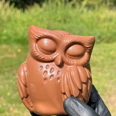 Hibou en chocolat