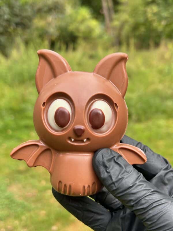 Chauve souris en chocolat - chocolat halloween