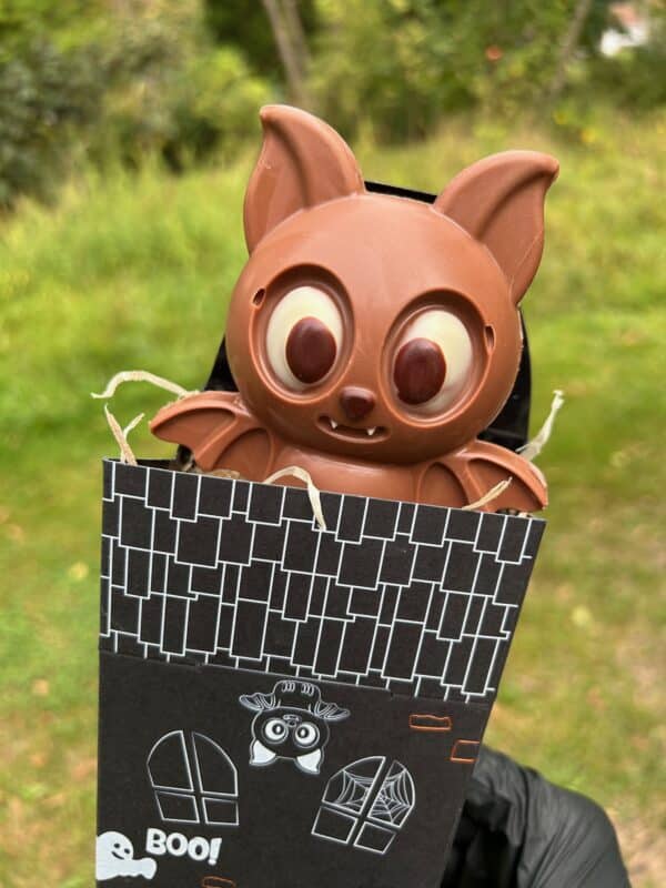 Chauve souris en chocolat - chocolat halloween