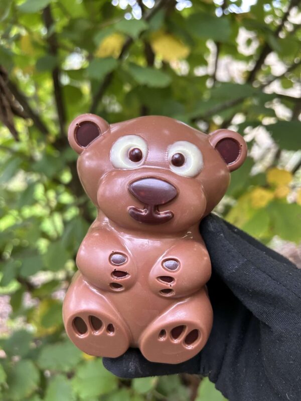 Le petit ours