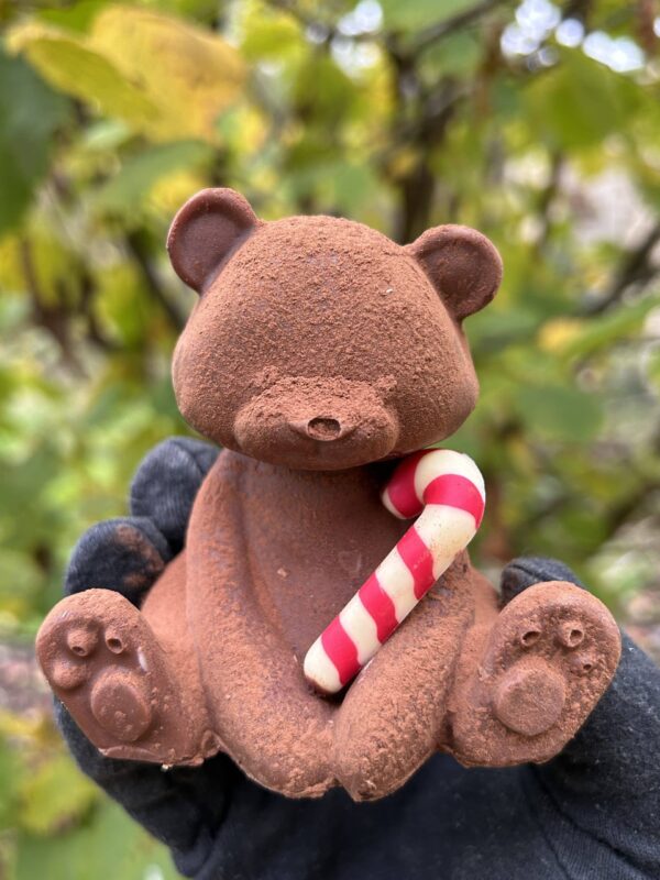Hector l'ourson mignon