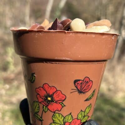 Pot de fleurs garnie