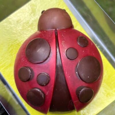 Coccinelle Garnie